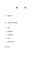 [소비자행동분석] 하이브리드 DSLR을 선택하게 되는 소비자의 행동 단계 모델 분석-2