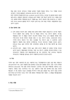 [소비자행동분석] 하이브리드 DSLR을 선택하게 되는 소비자의 행동 단계 모델 분석-7