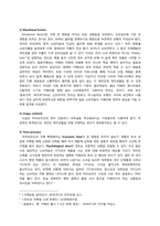 [소비자행동분석] 하이브리드 DSLR을 선택하게 되는 소비자의 행동 단계 모델 분석-12