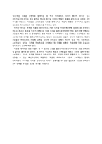 [소비자행동분석] 하이브리드 DSLR을 선택하게 되는 소비자의 행동 단계 모델 분석-17