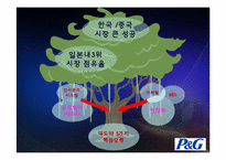 [국제경영] P&G 성공사례-14