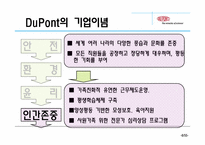 [다국적기업론] 듀폰 DuPont 경영전략-8
