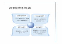 [글로벌경영] 글러벌 기업의 조직구조와 인적자원관리-12