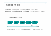 [글로벌경영] 글러벌 기업의 조직구조와 인적자원관리-19