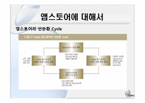 [인터넷경영] 앱스토어 성공요인-13