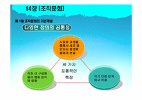 [조직행동론] 14장 조직문화-5