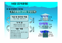 [조직행동론] 14장 조직문화-6