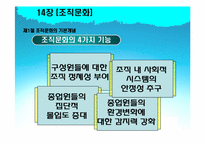 [조직행동론] 14장 조직문화-7