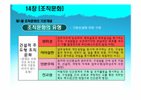 [조직행동론] 14장 조직문화-8