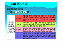 [조직행동론] 14장 조직문화-10