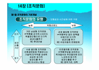 [조직행동론] 14장 조직문화-11