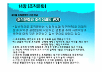 [조직행동론] 14장 조직문화-12