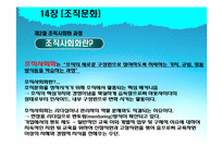 [조직행동론] 14장 조직문화-15