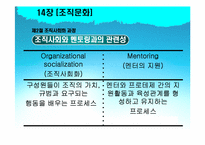 [조직행동론] 14장 조직문화-16