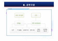 이랜드 E-land의 중국진출전략-8