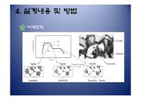 [신소재강도학] 강도학 설계 계획서-12