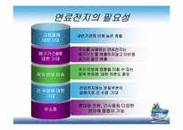 [에너지공학] 고분자 연료전지 -PEMFC-4