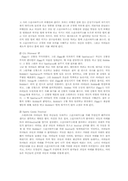 [유아 및 아동심리학] 현재 방영중인 유아 프로그램 대한 분석 -방귀대장 뿡뿡이, 개구리 중사 케로로, 강철 수염과 게으른 마을-7