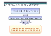[특수교육] 영재아동-13