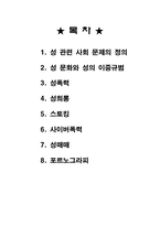 성관련 사회문제-2