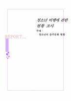 청소년의 음주문화 현황-1