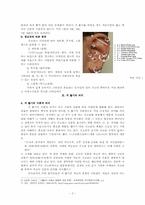 귀뚫는 행위에 대한 고찰-2