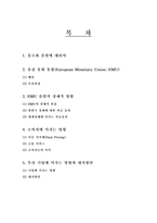 유로화출범의 의의-1
