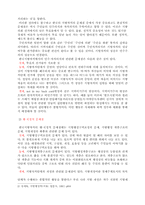 [행정] 지자제의 문제점-3