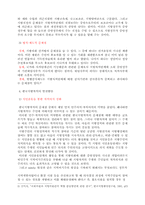 [행정] 지자제의 문제점-4