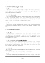 1차대전의 발발과 그 의의-2