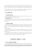 1차대전의 발발과 그 의의-3