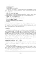 1차대전의 발발과 그 의의-7