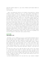 기업의 마케팅전략-6