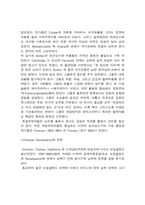 미국의 르네상스-2