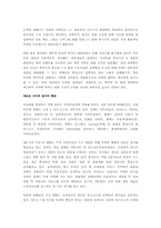 인터넷광고 형태와 전략-8