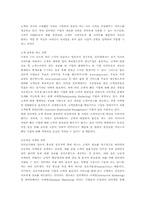 인터넷광고 형태와 전략-11