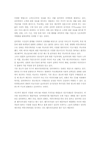인터넷광고 형태와 전략-12