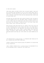 전자상거래와 도메인분쟁-지적 재산권과 관련하여-13