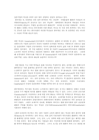 한국기업조직의 특징-13