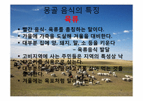 몽골의 식생활 레포트-9