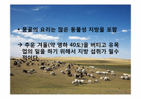 몽골의 식생활 레포트-11