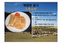 몽골의 식생활 레포트-13