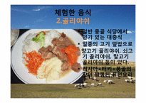 몽골의 식생활 레포트-15