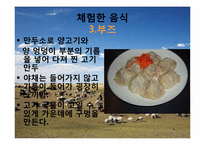 몽골의 식생활 레포트-17