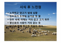 몽골의 식생활 레포트-18