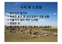 몽골의 식생활 레포트-20