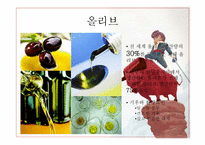 스페인 음식 레포트-9