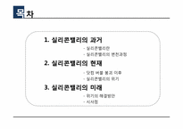 실리콘밸리 과거, 현재, 미래-2