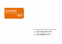 실리콘밸리 과거, 현재, 미래-13