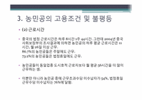 중국의 불평등 -농민공 문제-14